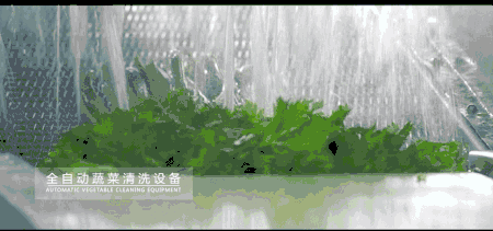 每日萊水餃工廠