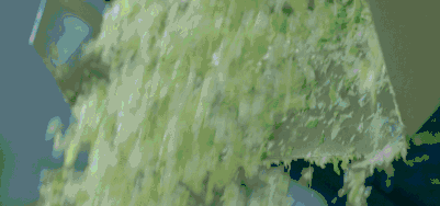 每日萊水餃工廠